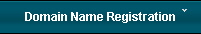 Domain Name Registration